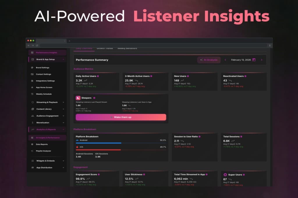 AI-powered listener insights report in the Nobex Partners dashboard